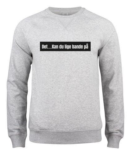 NALINA- DET KAN DU LIGE BANDE PÅ SWEATSHIRT -GRÅ